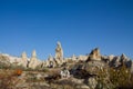 Cappadokia rock towers and cave houses Royalty Free Stock Photo